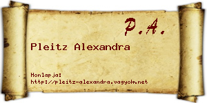 Pleitz Alexandra névjegykártya